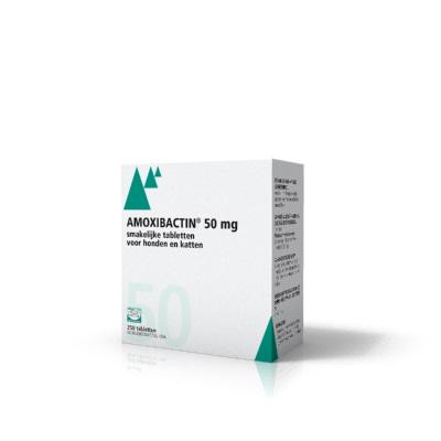 Amoxibactin 50 mg tablet 
