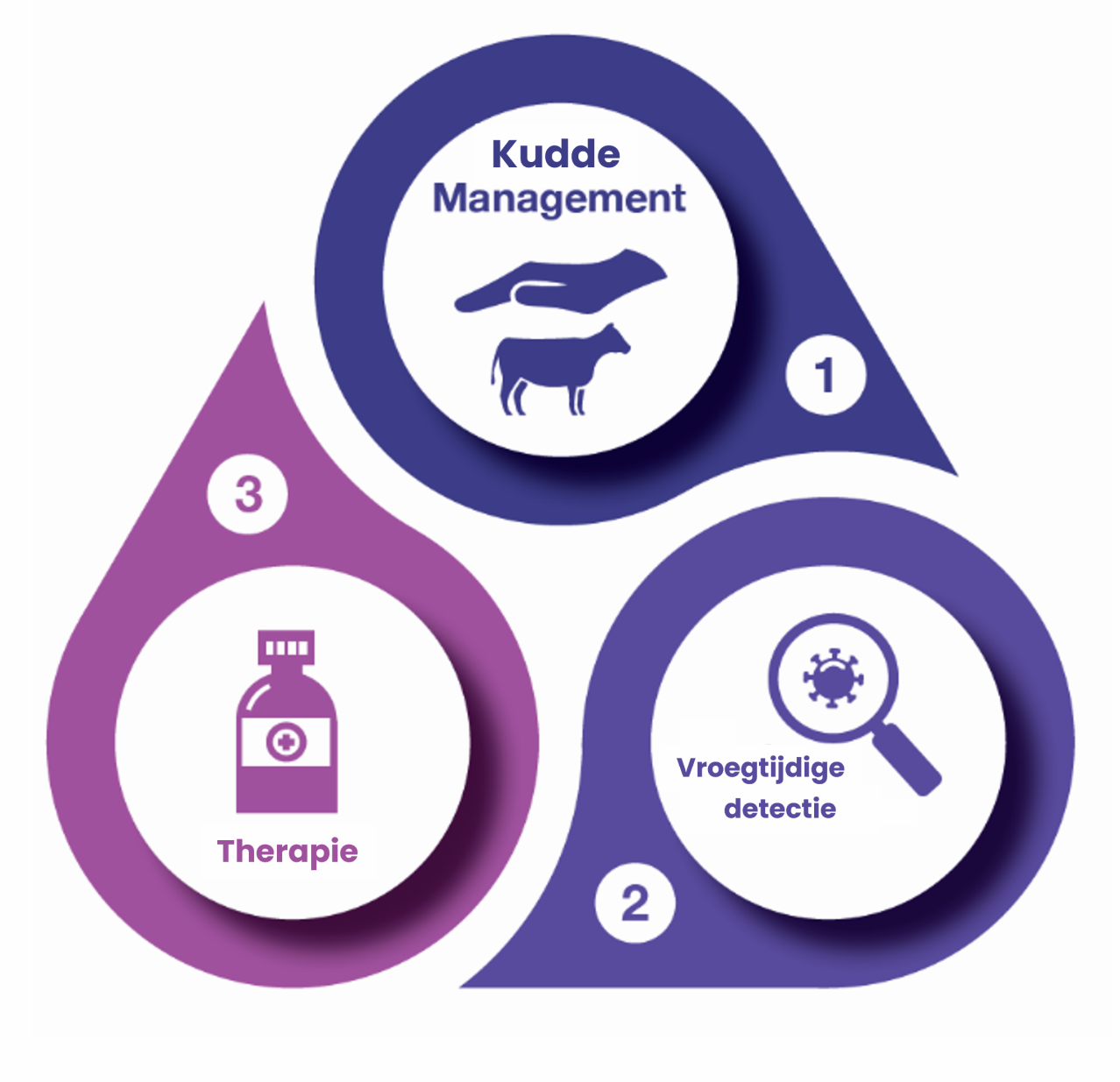 Internal medicines in Cattle - Dechra's integrated approach